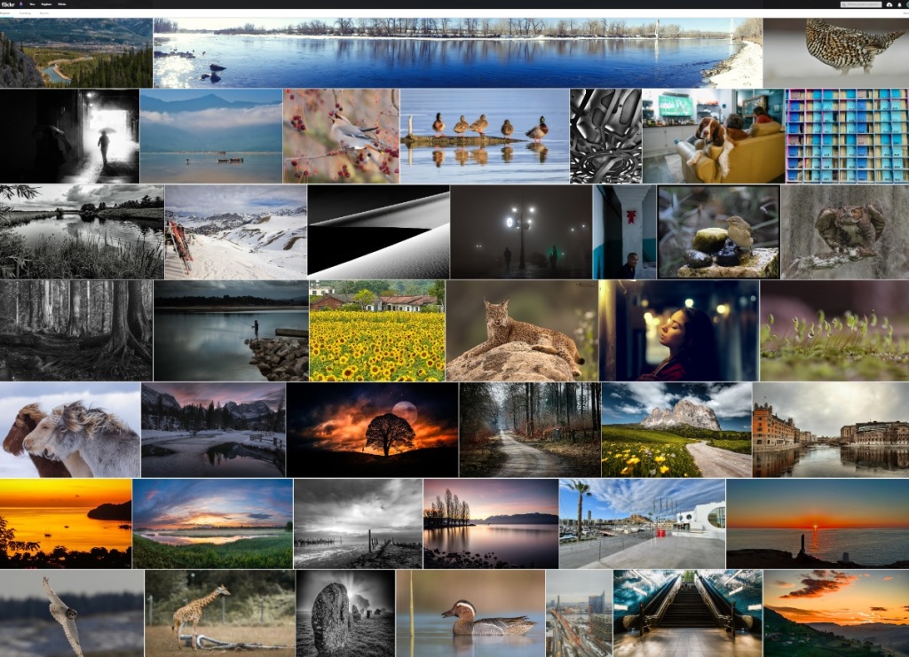 screenshot of thumbnail images at photosharing site, Flickr of many colors, compositions, and subjects