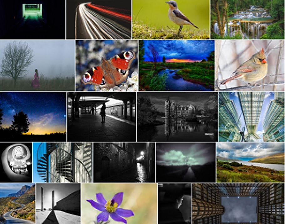 screenshot-2 of about 20 color or monochrome photos of diverse subjects and composition under various lighting conditions