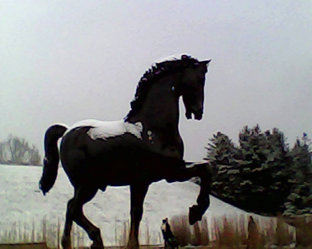 toy camera contrasty photo of bronze 24-foot high horse with blanket of snow on top